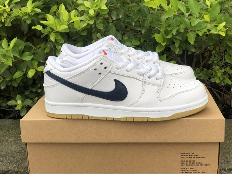 Nike SB Dunk Low CZ2249 Colorful 581