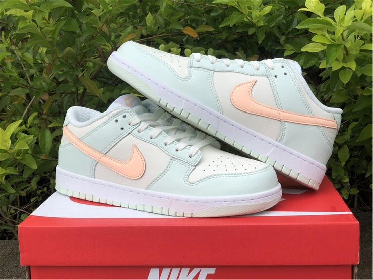 Nike SB Dunk Low DD1503- Supportive 550