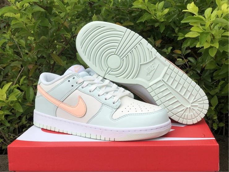 Nike SB Dunk Low DD1503- Supportive 550