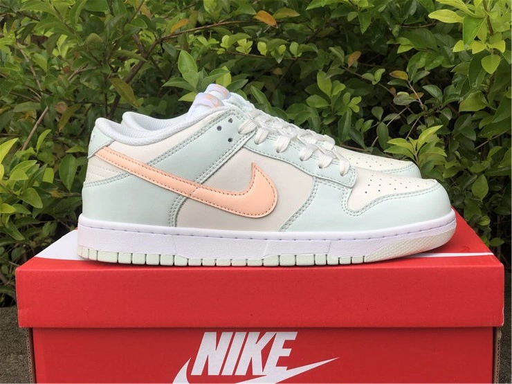 Nike SB Dunk Low DD1503- Supportive 550