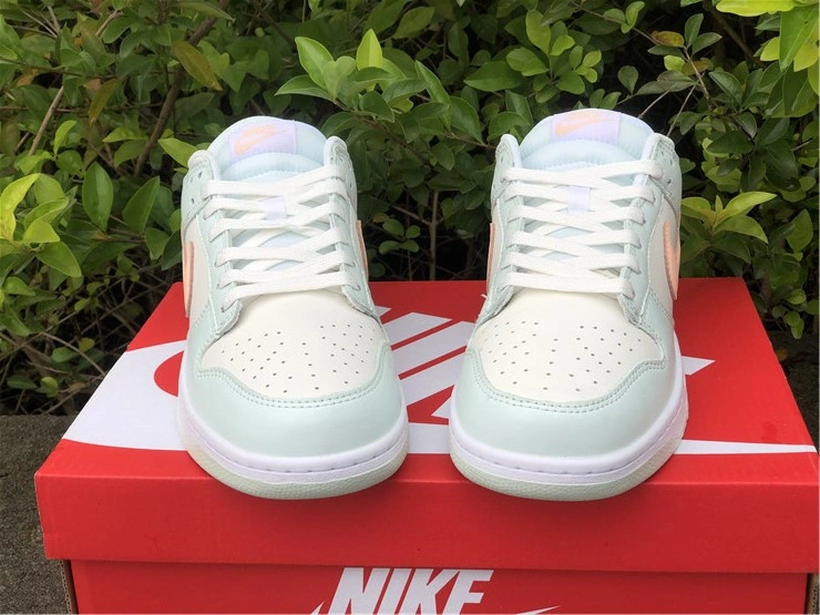 Nike SB Dunk Low DD1503- Supportive 550