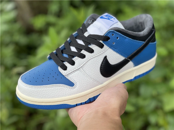 Nike SB Dunk Low DH0957 StreetReady 523