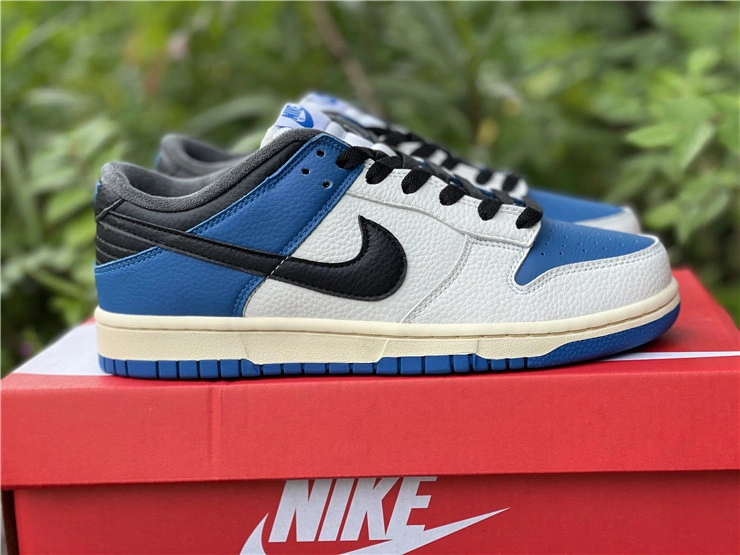Nike SB Dunk Low DH0957 StreetReady 523