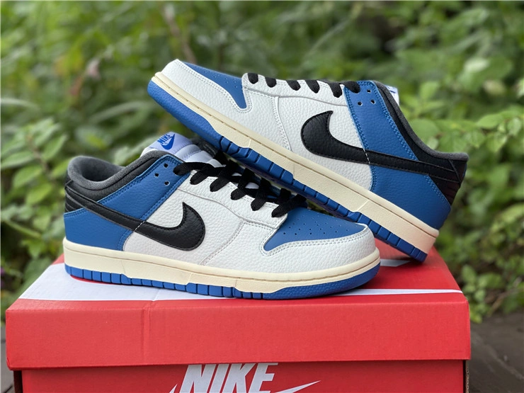 Nike SB Dunk Low DH0957 StreetReady 523