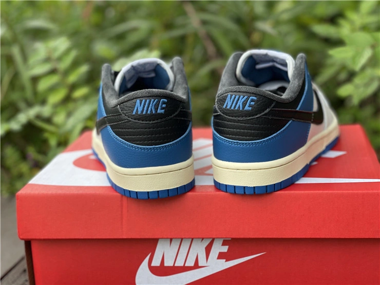 Nike SB Dunk Low DH0957 StreetReady 523