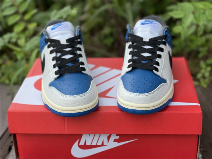 Nike SB Dunk Low DH0957 StreetReady 523