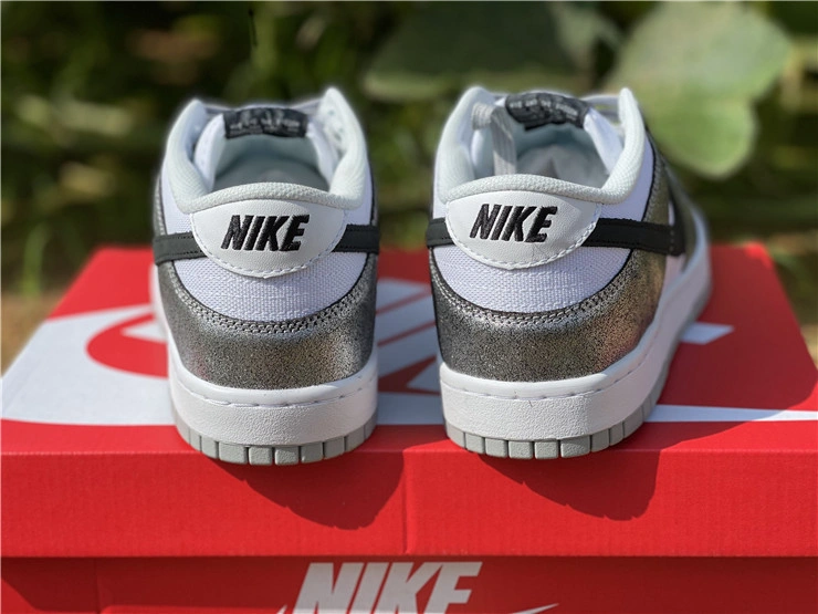 Nike SB Dunk Low DO5882- TravelReady 525
