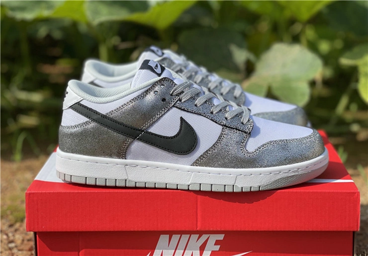 Nike SB Dunk Low DO5882- TravelReady 525