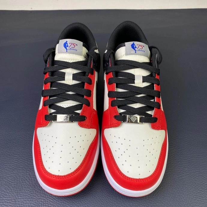 WeatherProof Nike SB Dunk Low 531