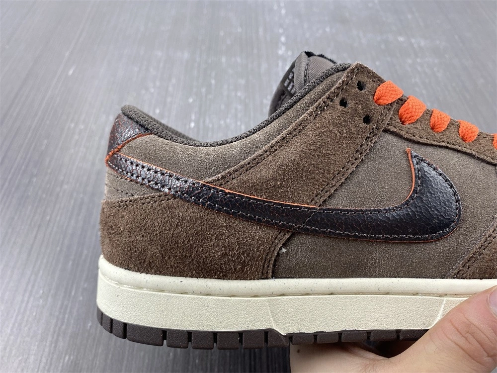 Tailored SB Dunk Low  Side DQ8801- 302