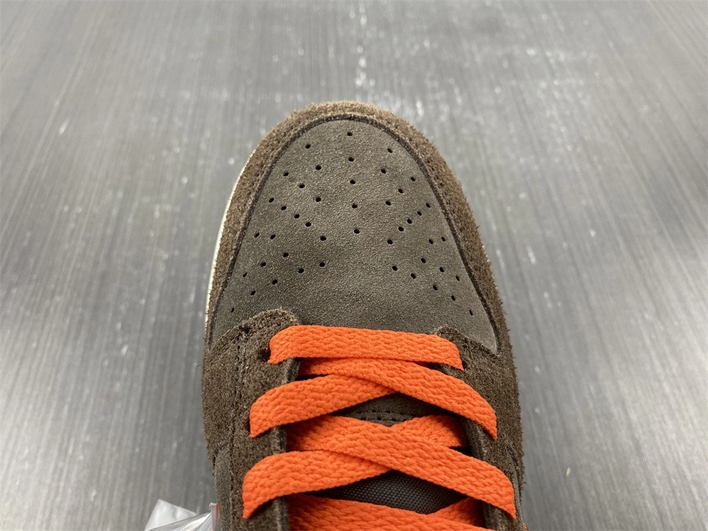 Tailored SB Dunk Low  Side DQ8801- 302