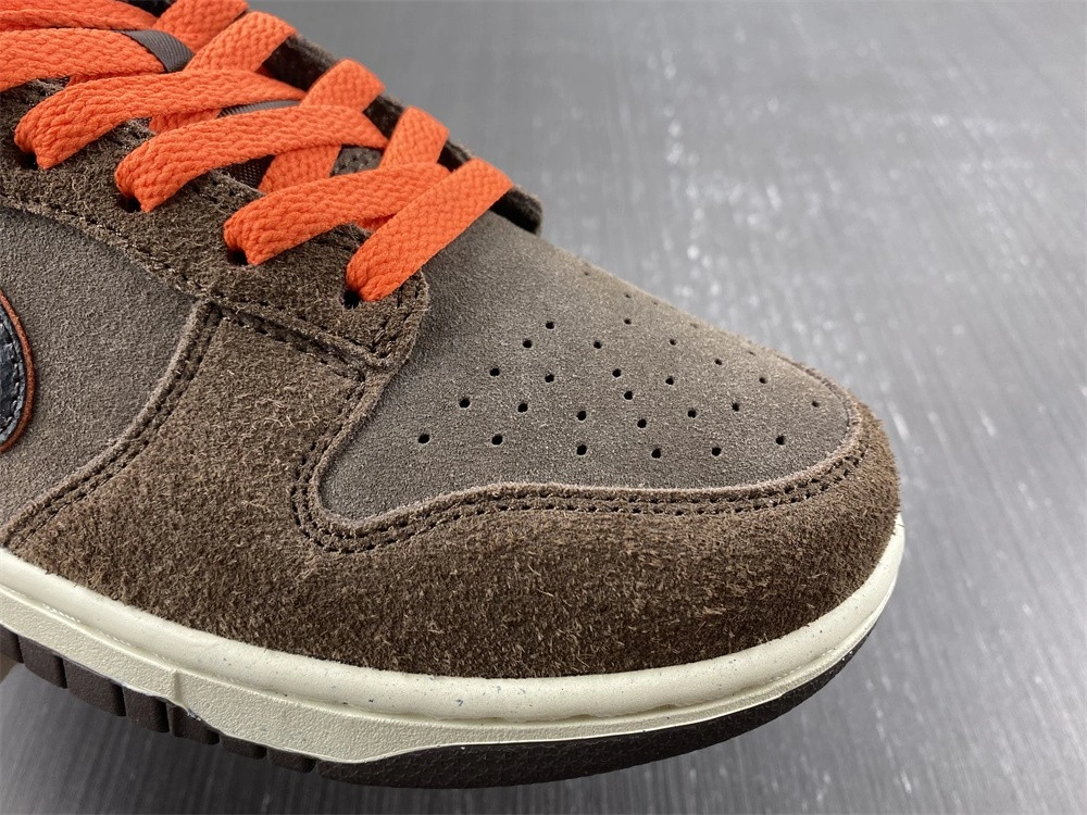 Tailored SB Dunk Low  Side DQ8801- 302