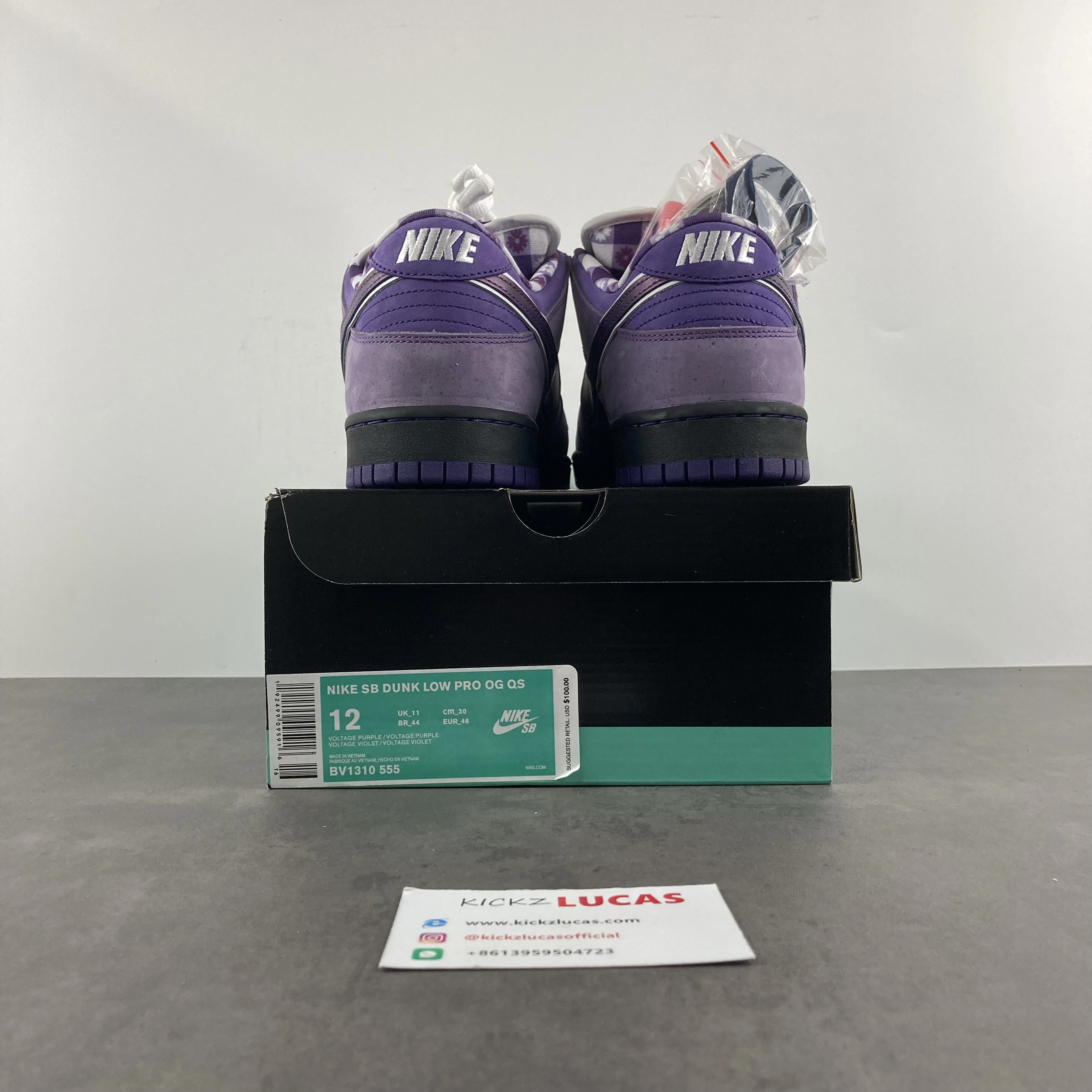 StreetReady SB Dunk Low Concepts Purple Lobster BV1310- 620