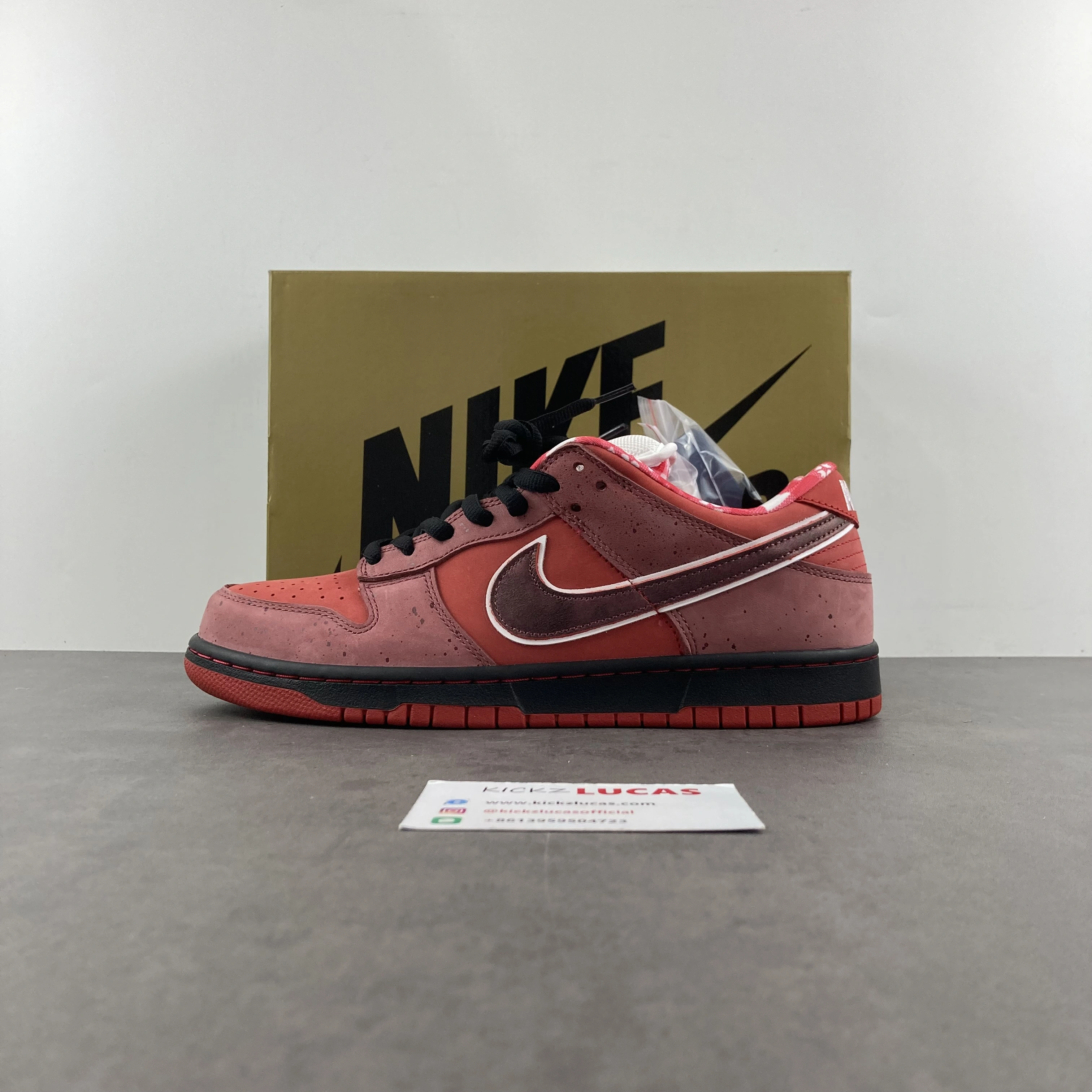 Unisex SB Dunk Low Concepts Red Lobster 313170- 351
