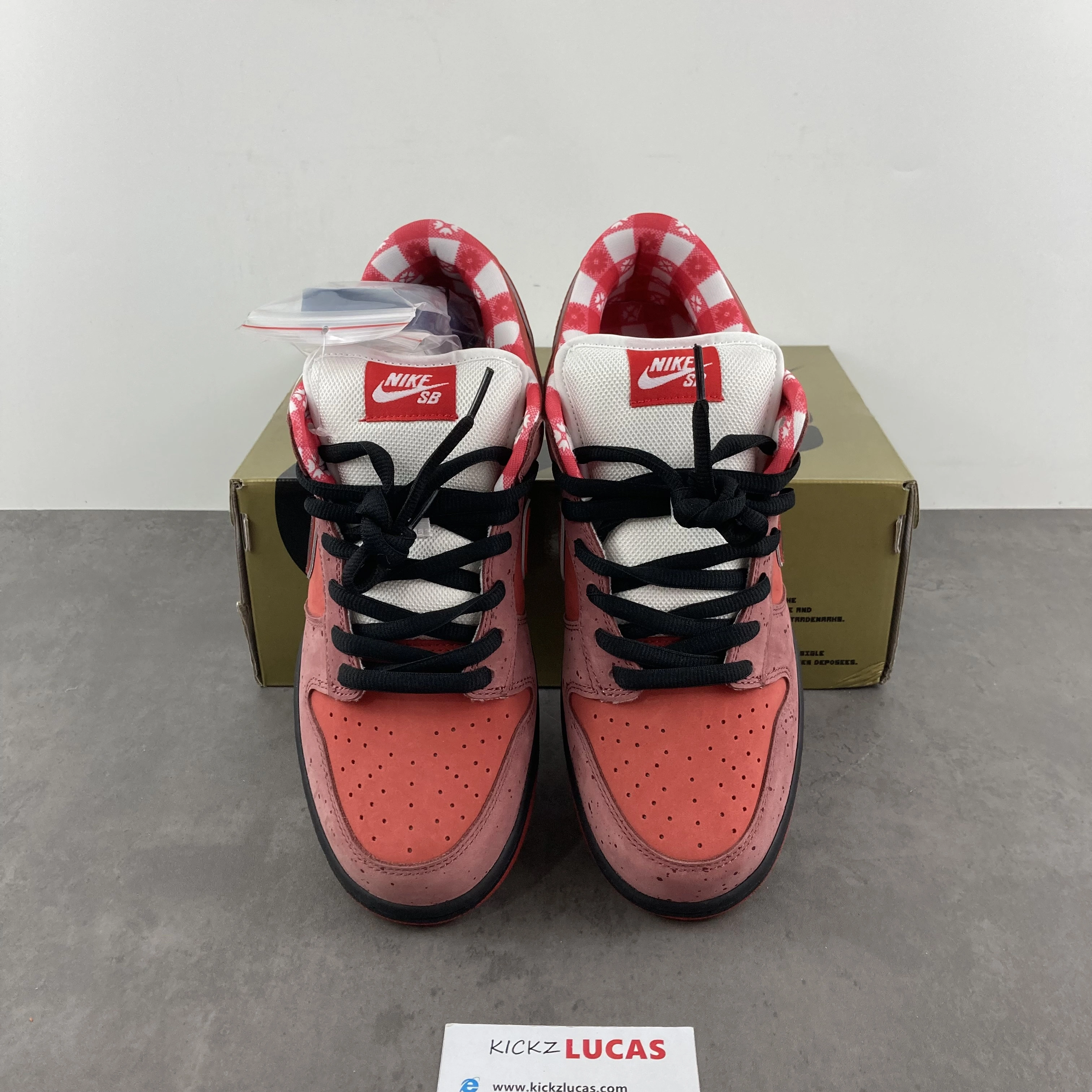 Unisex SB Dunk Low Concepts Red Lobster 313170- 351