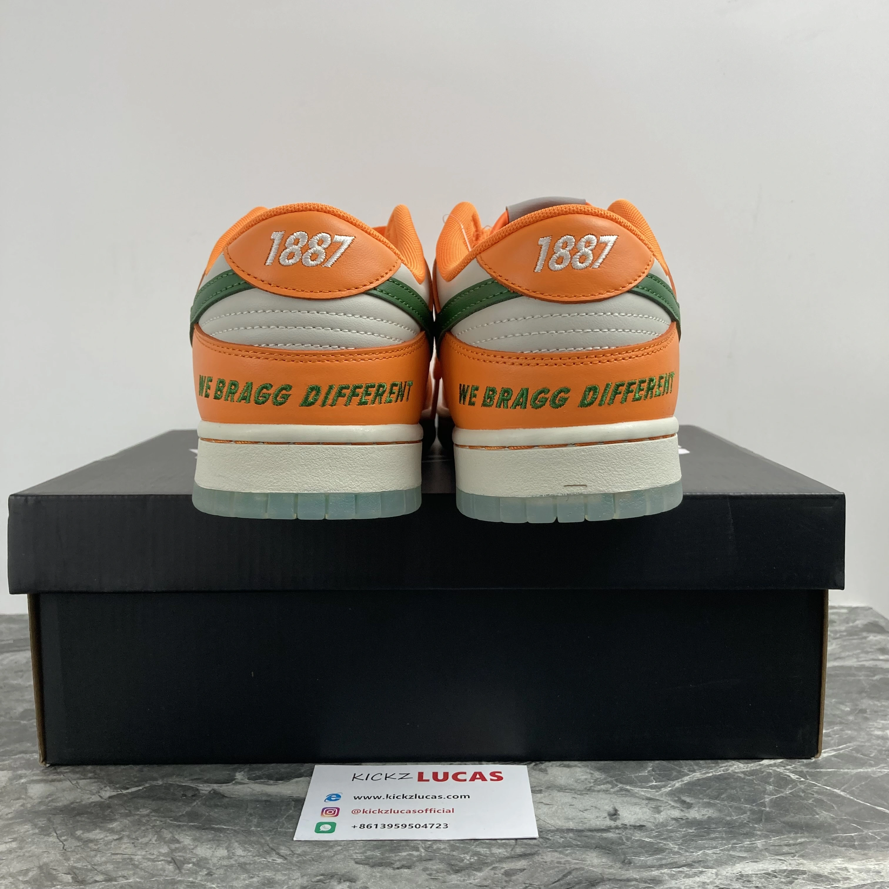 Bold SB Dunk Low Famu DR6188- 324