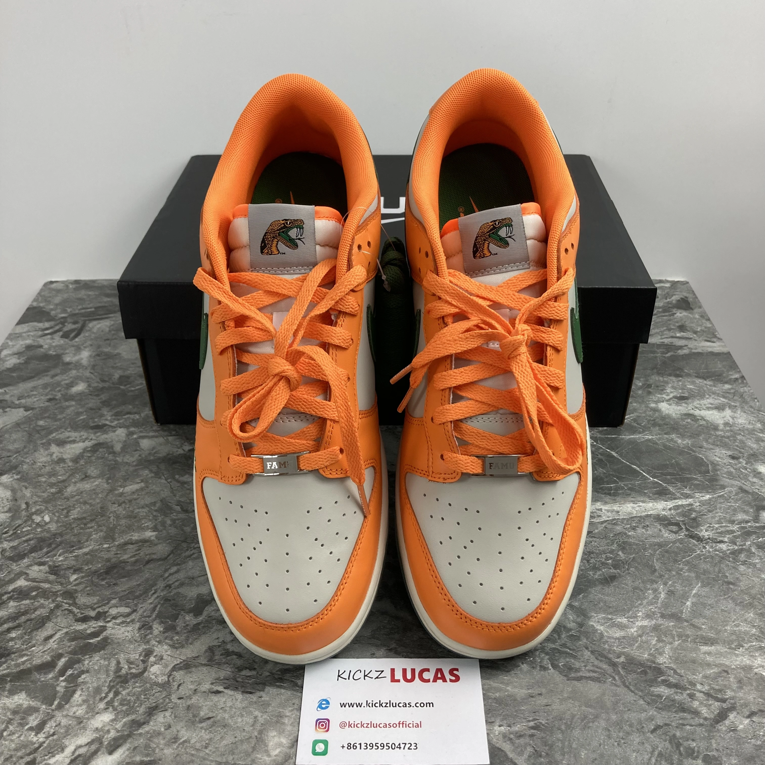 Bold SB Dunk Low Famu DR6188- 324