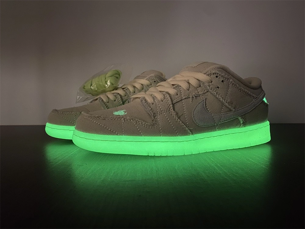 AllSeason SB Dunk Low Mummy DM0774- 514