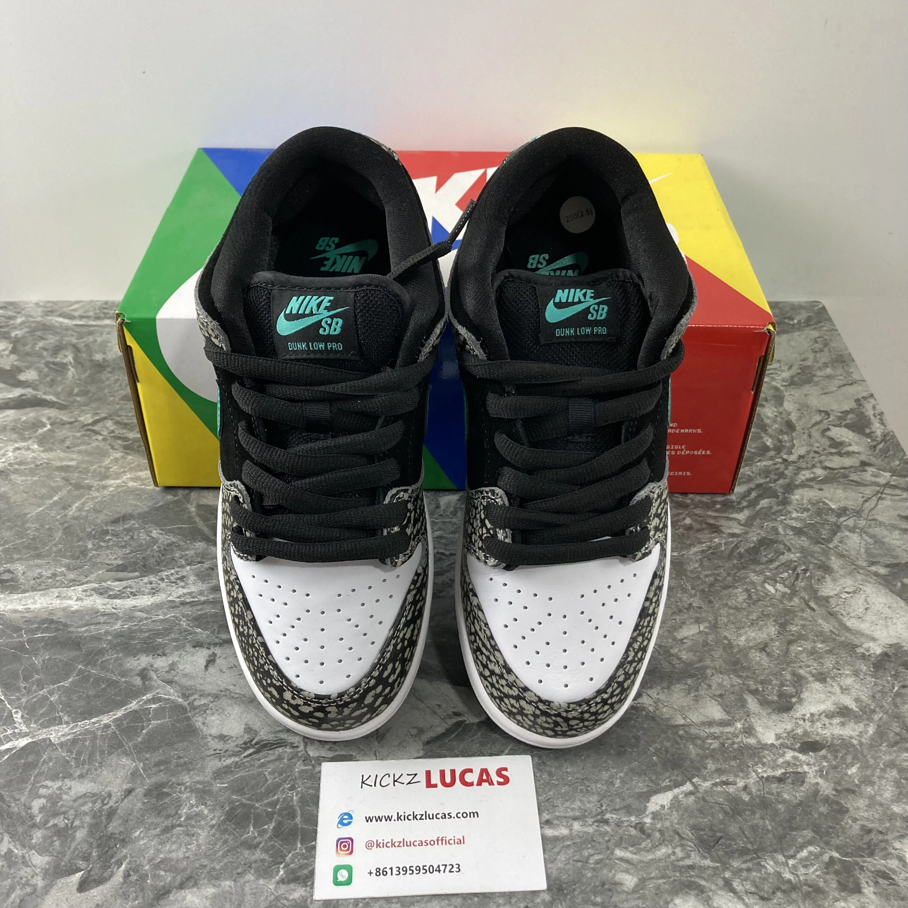 Youthful SB Dunk Low PRO Elephant BQ6817- 623