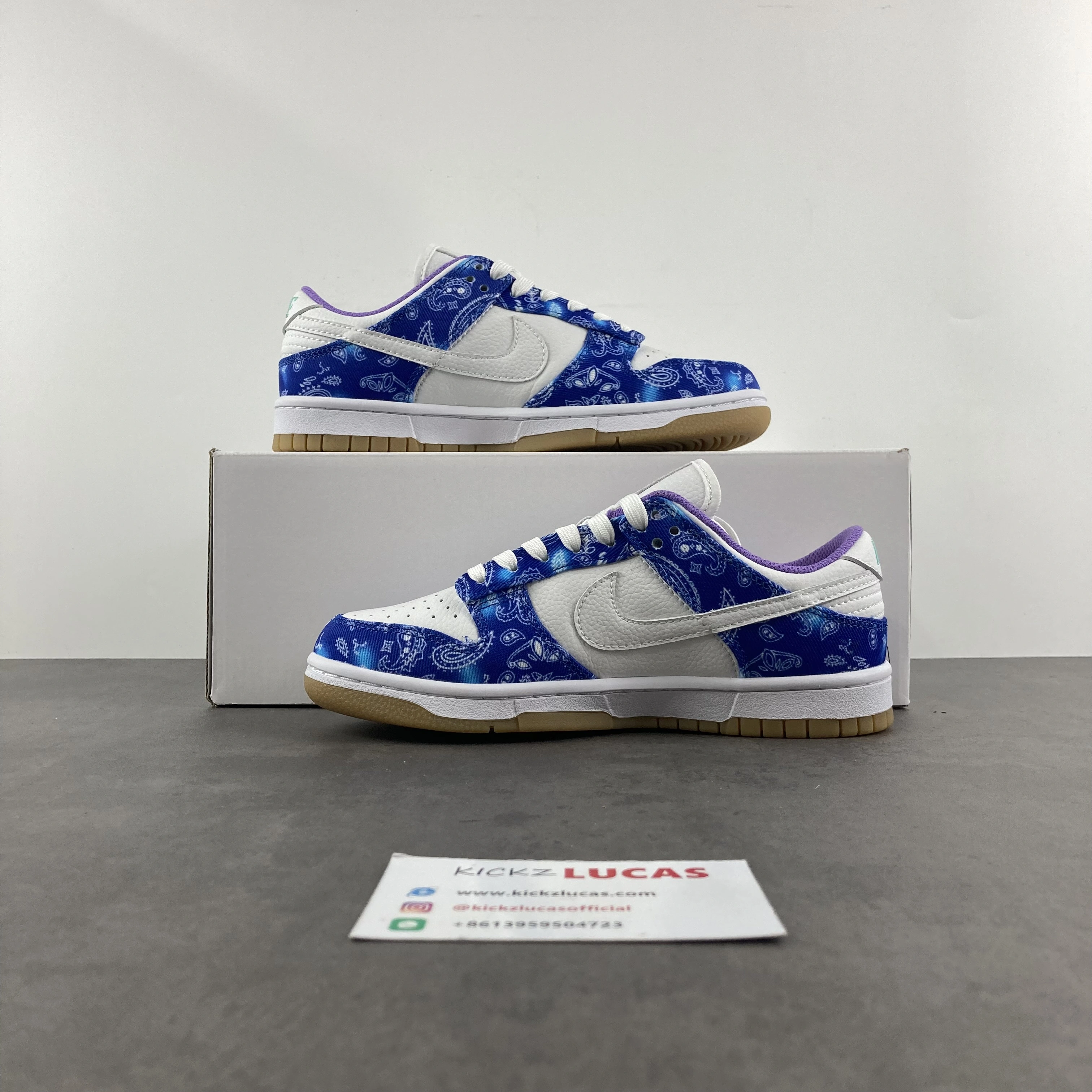 Functional SB Dunk Low Retro SP white blue CT5053- 248
