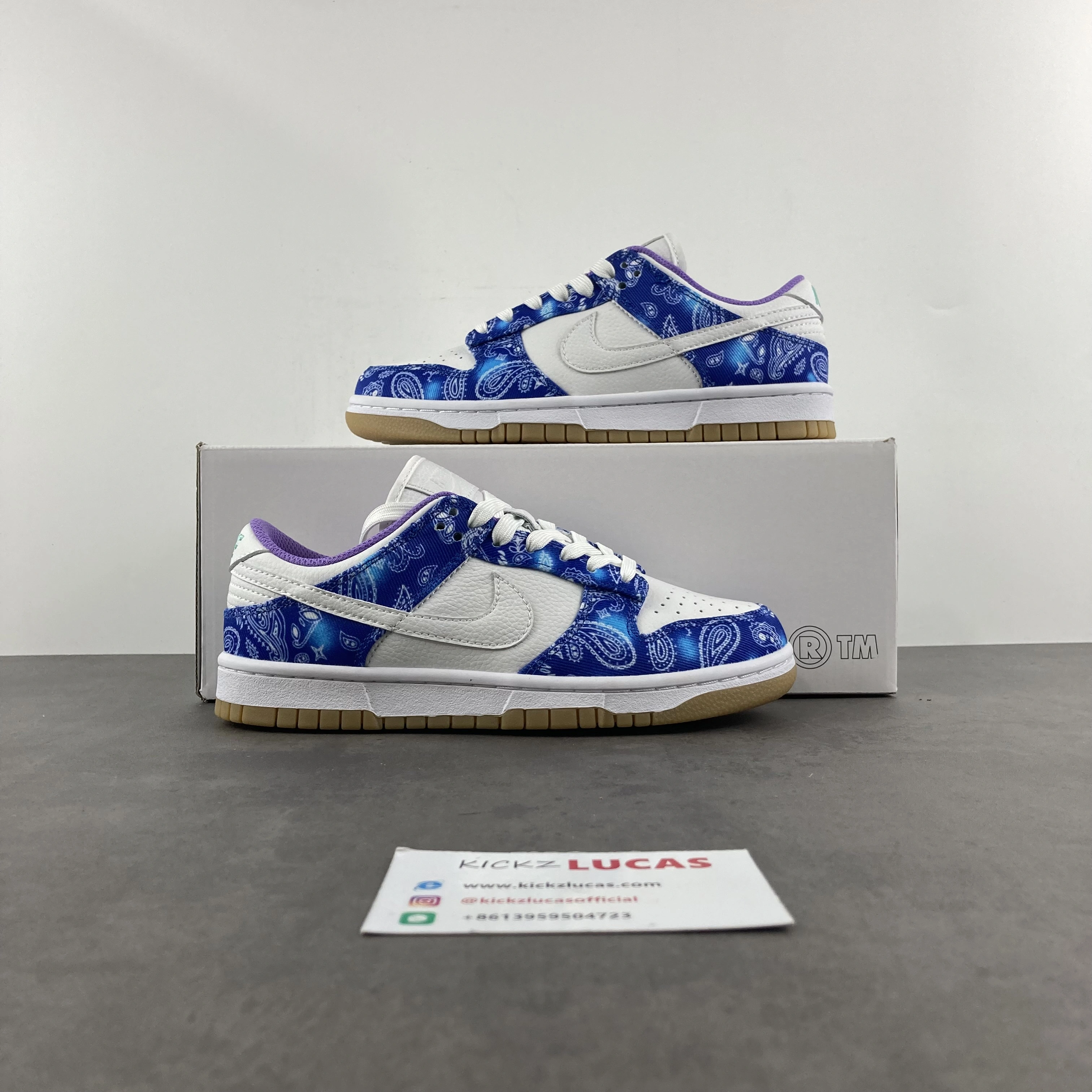 Functional SB Dunk Low Retro SP white blue CT5053- 248