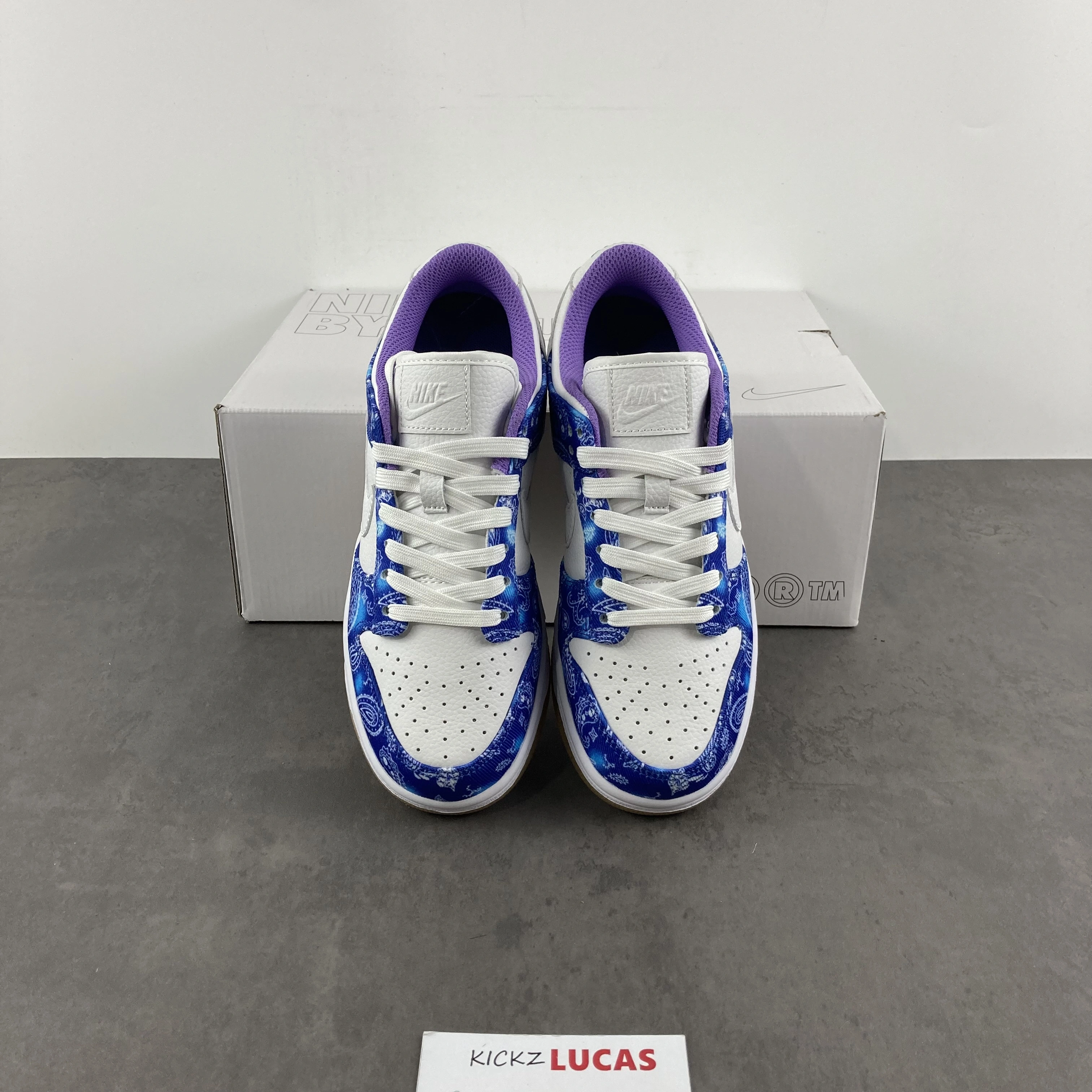 Functional SB Dunk Low Retro SP white blue CT5053- 248