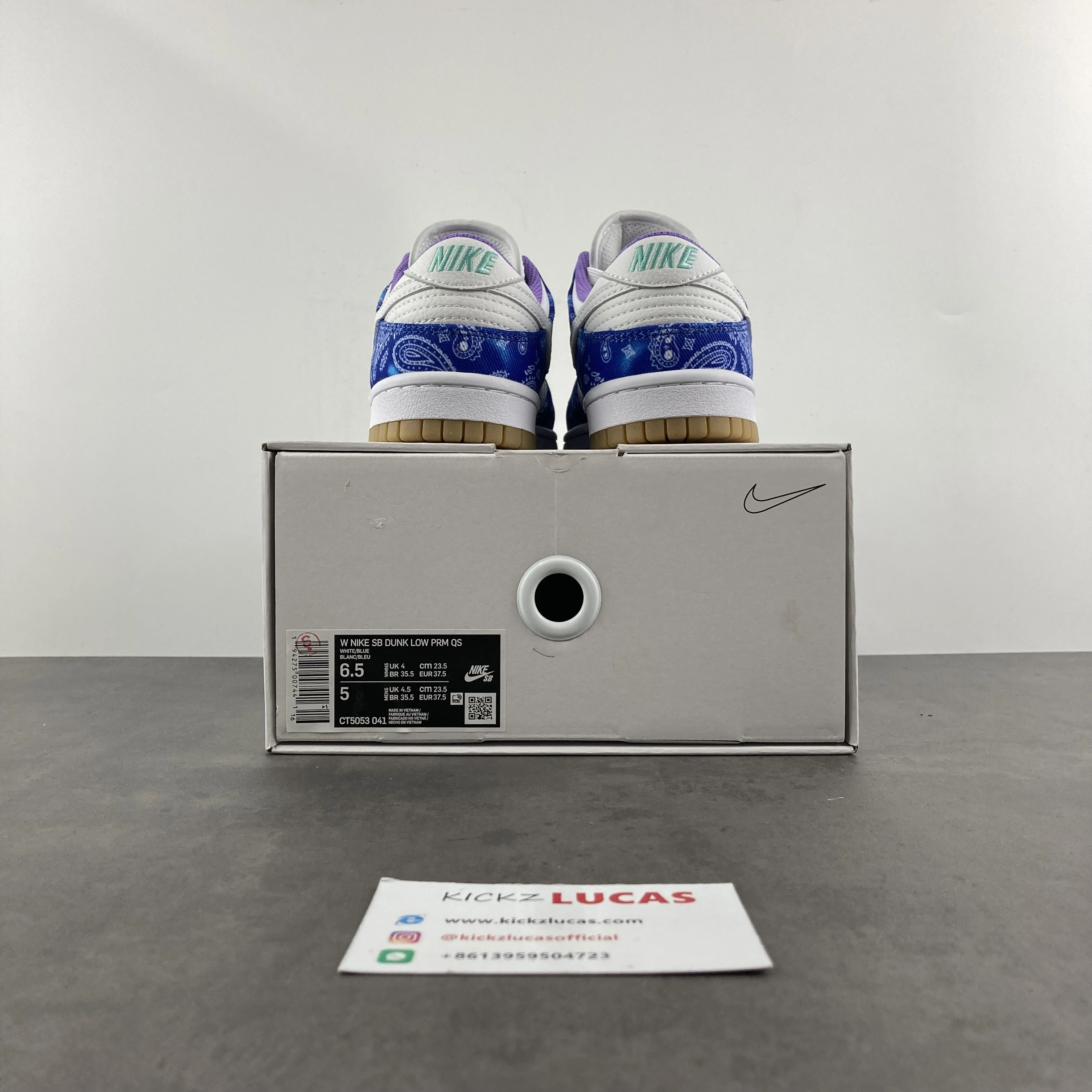 Functional SB Dunk Low Retro SP white blue CT5053- 248