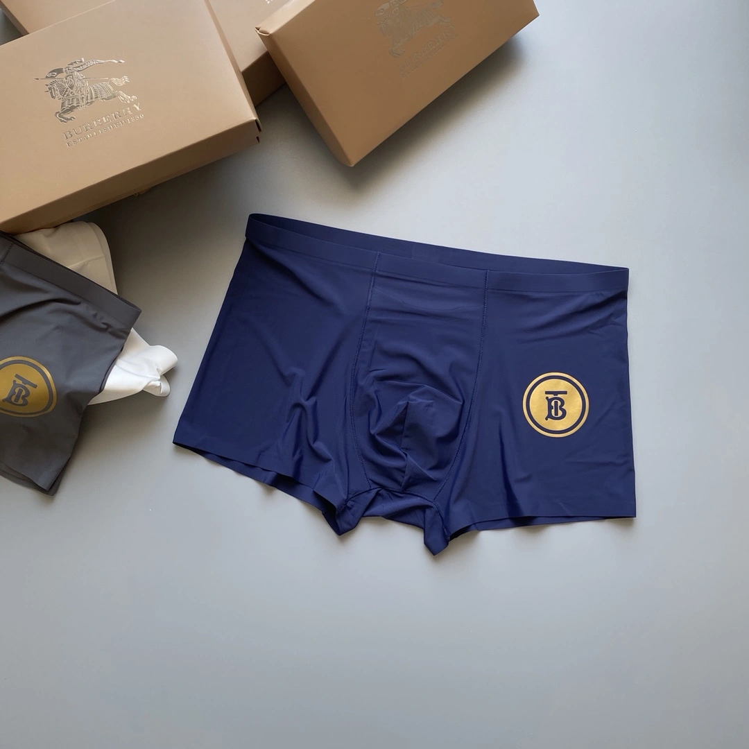 Underpants Top 3 Pieces Modern 18632