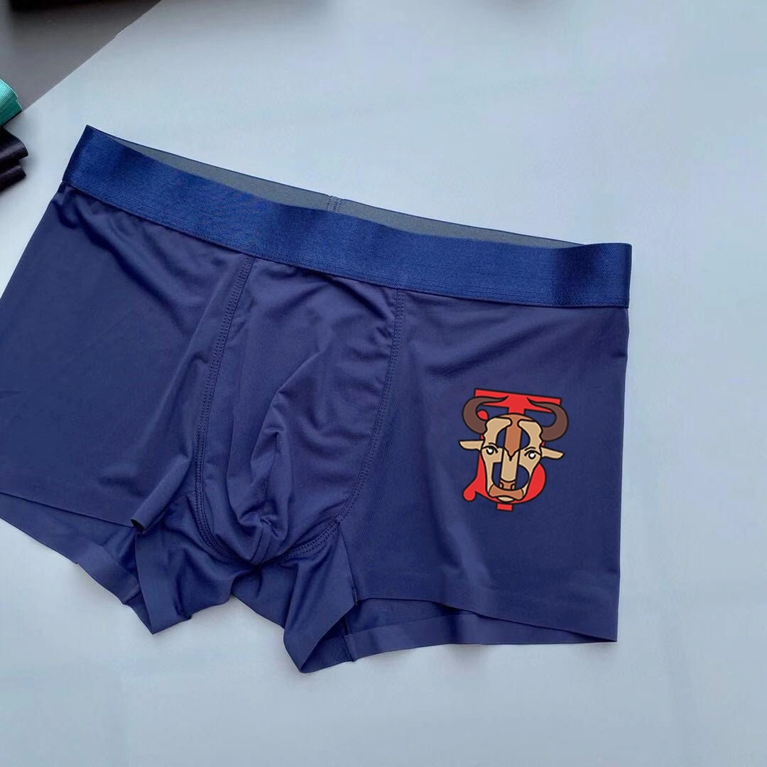 Underpants Top 3 Pieces Durable 18746