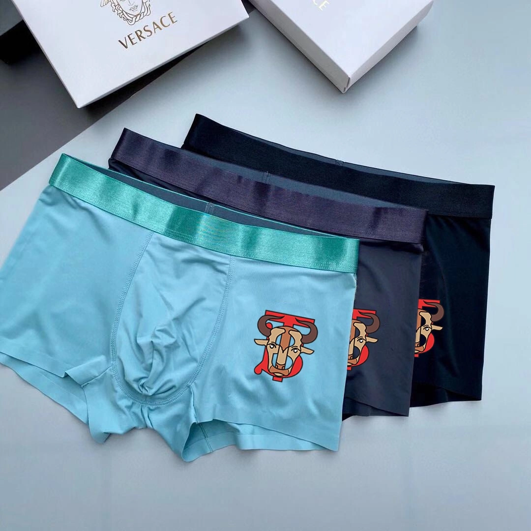Underpants Top 3 Pieces Durable 18746