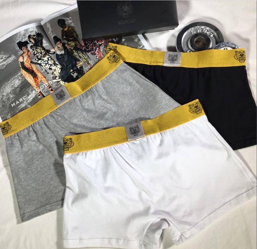 HighQuality Underpants Top 3 Pieces 18621