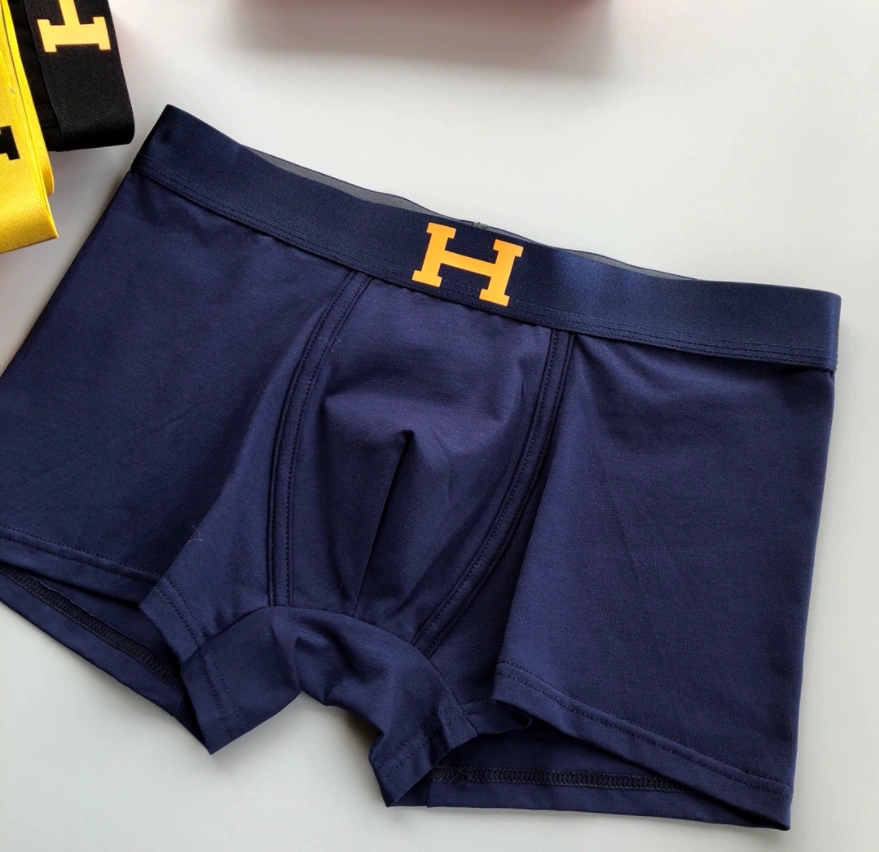 Underpants Top 3 Pieces Trendsetting 18752