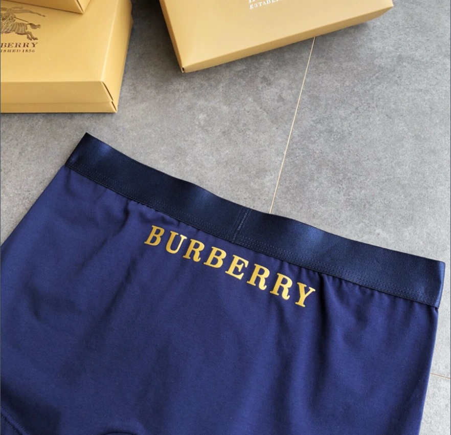 Underpants Top 3 Pieces Seasonal 18754