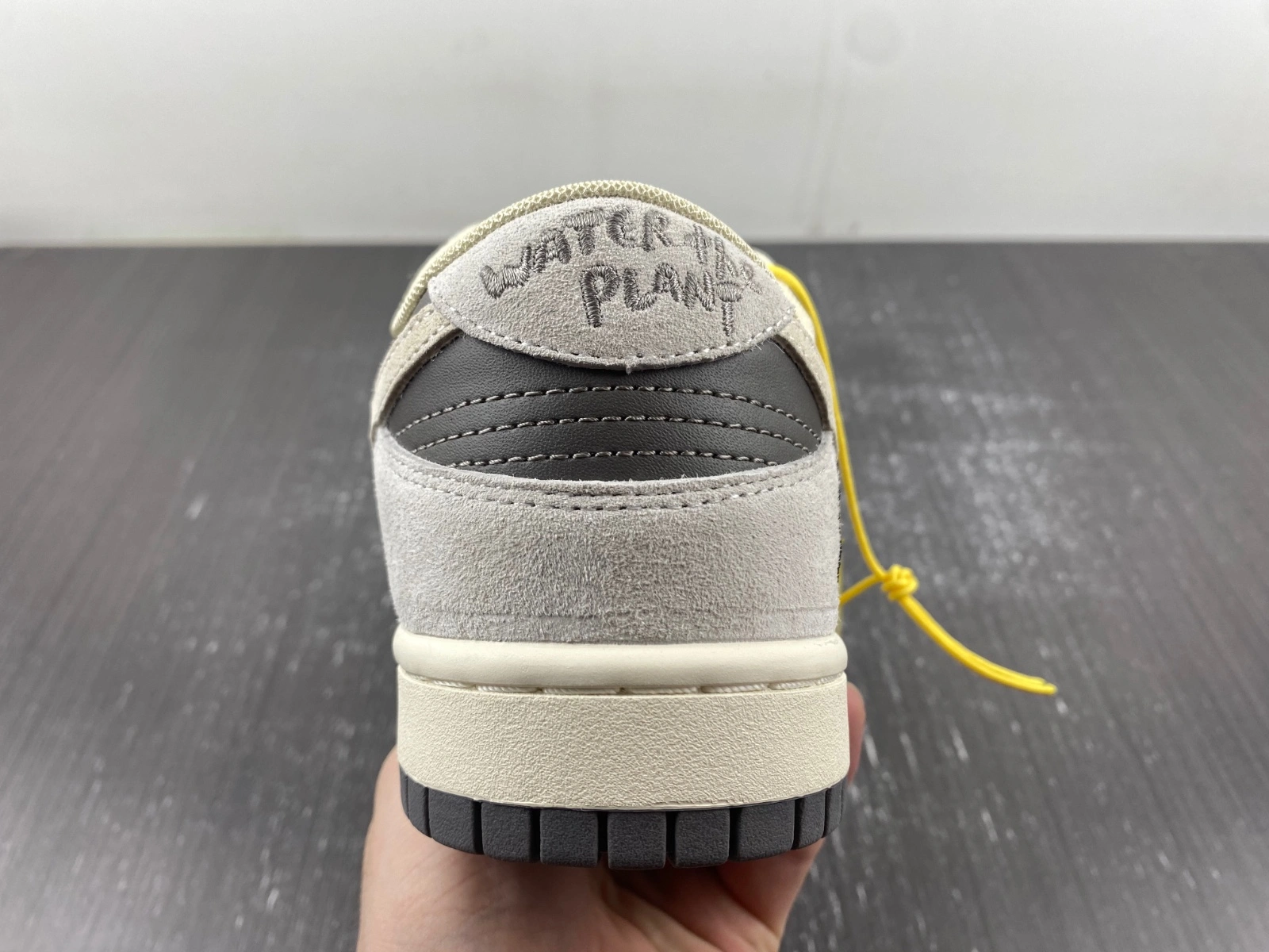 TravelReady Water The Plant 1.0 DUNK LOW Brown 112