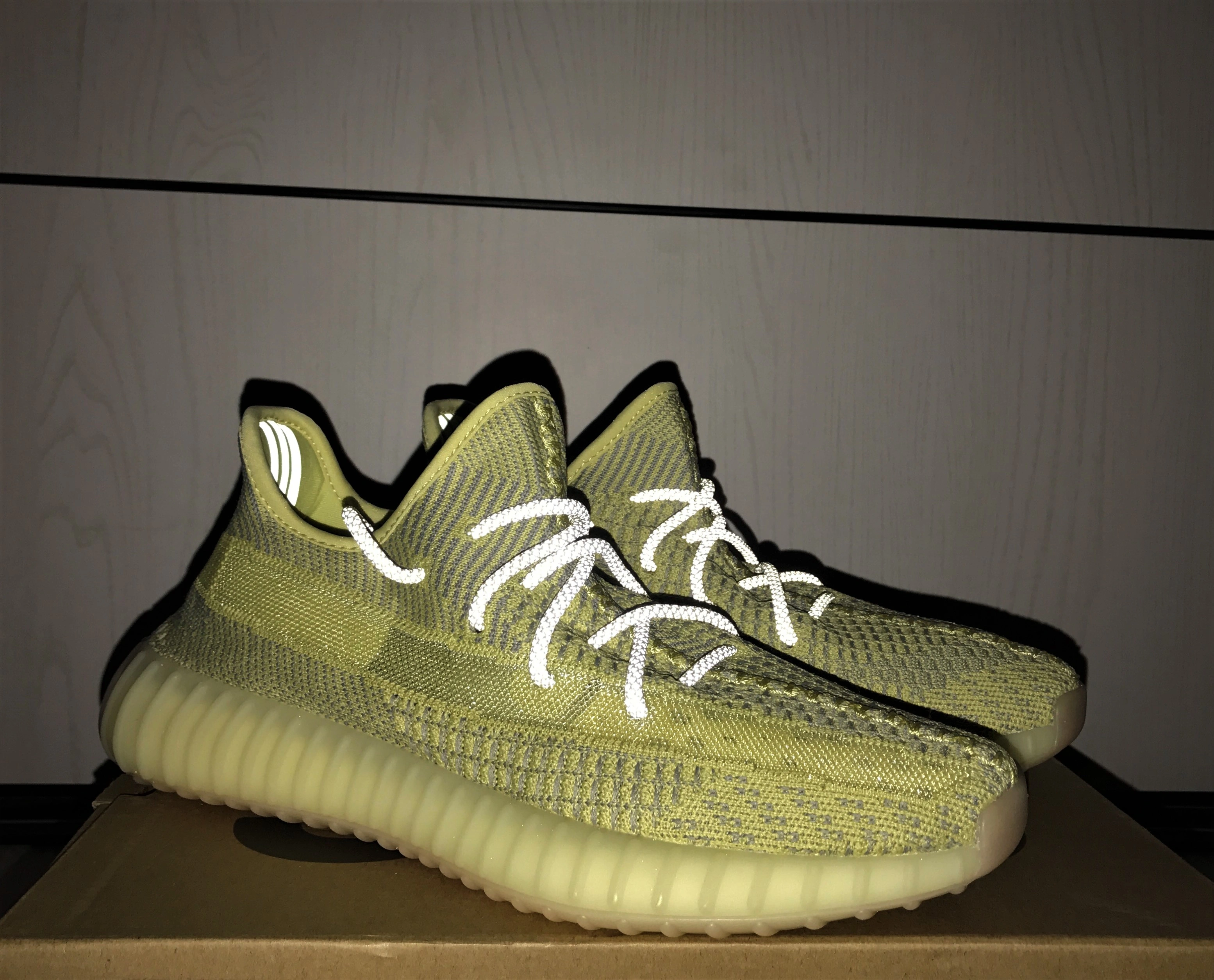 MultiPurpose Yeezy Boost 350 V2 Antlia Non-Reflective 2669