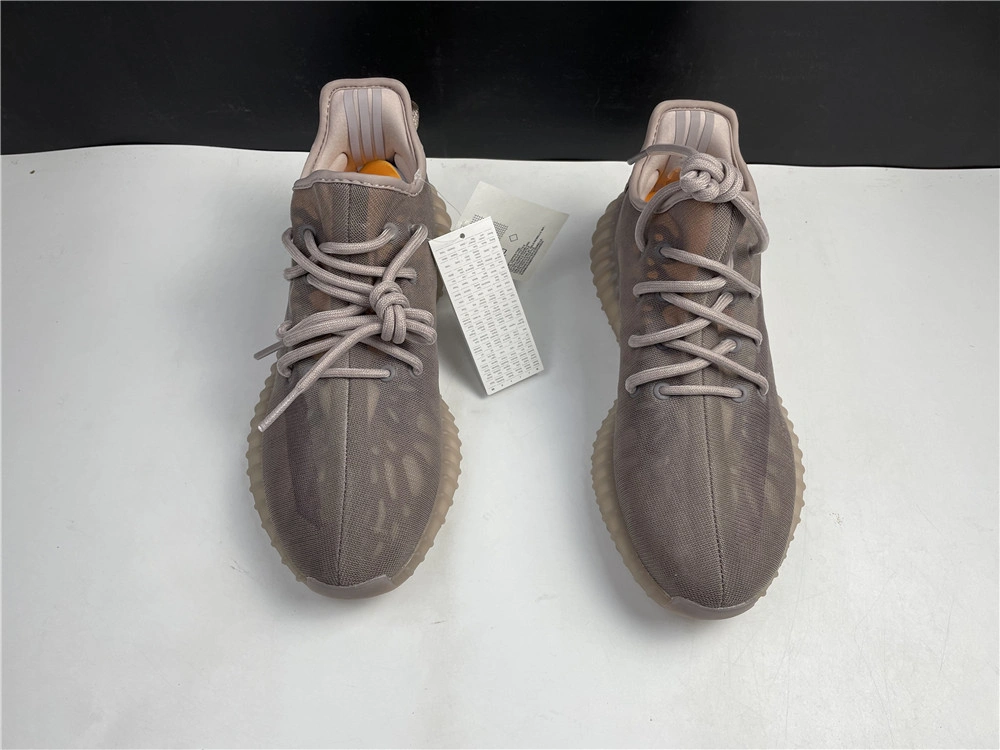 MultiPurpose Yeezy Boost 350 V2 GW 2637