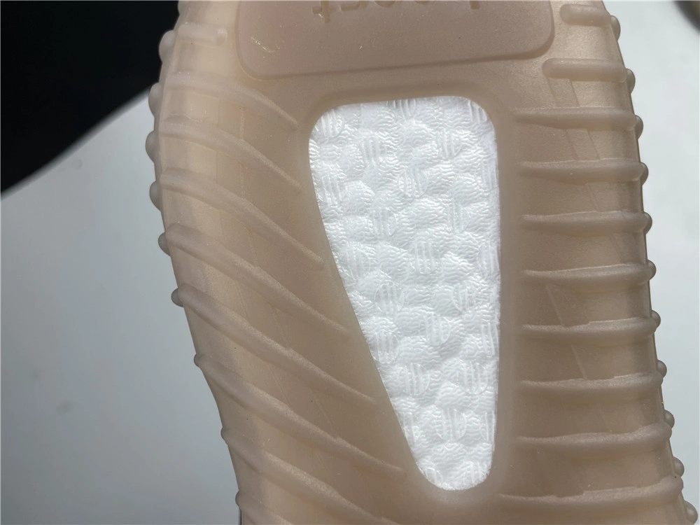 MultiPurpose Yeezy Boost 350 V2 GW 2637