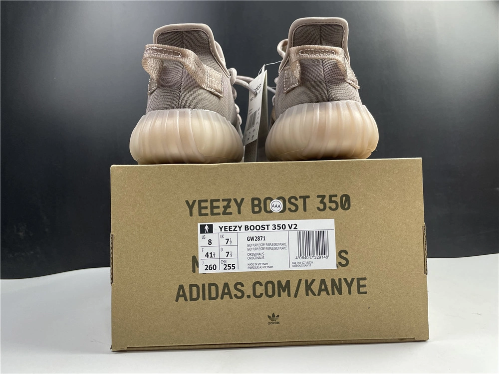 MultiPurpose Yeezy Boost 350 V2 GW 2637