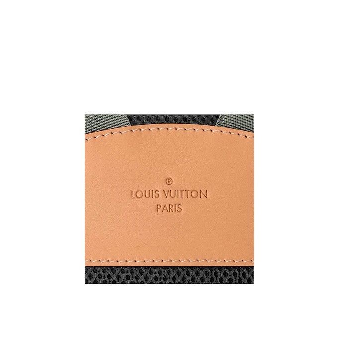 Louis Vuitton Backpack PM M43882