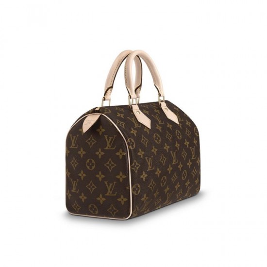 Lvlenka Louis Vuitton Speedy 25 M41109