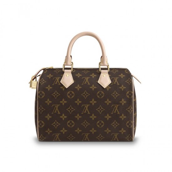 Lvlenka Louis Vuitton Speedy 25 M41109