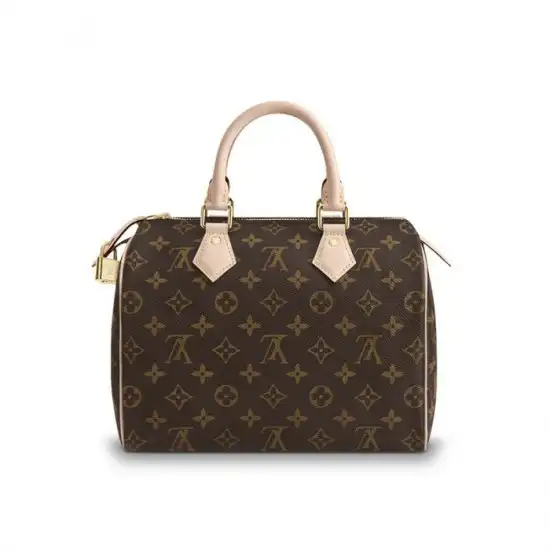 Cheap Louis Vuitton Speedy 25 M41109