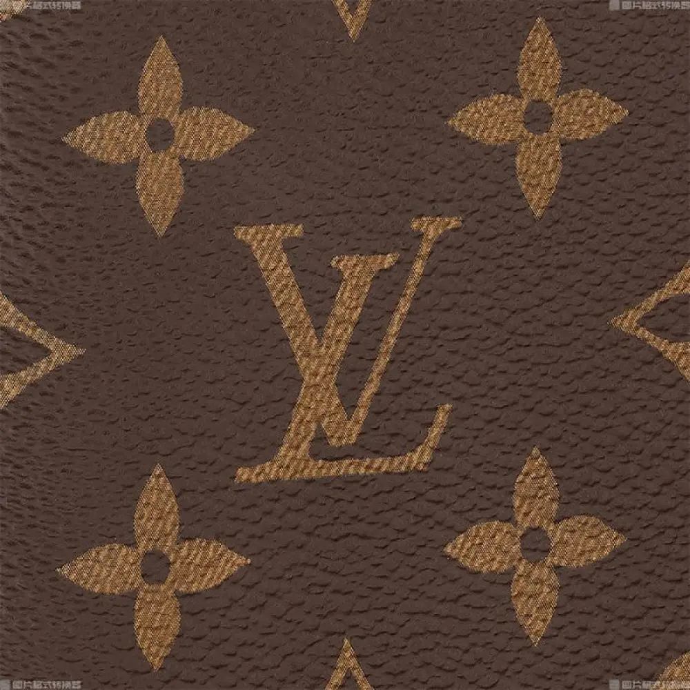 Louis Vuitton Brazza Wallet M66540