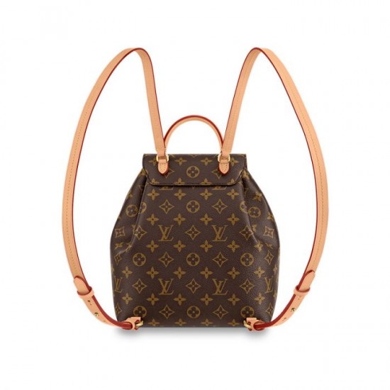 Louis Vuitton M45501 Montsouris PM