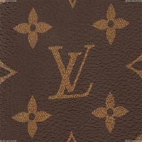 Louis Vuitton Brazza Wallet M66540