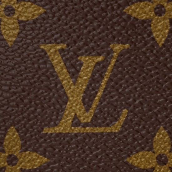 Lvlenka Louis Vuitton Mini Pochette Accessoires M58009