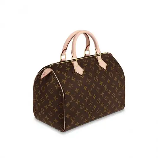 Louis Vuitton Speedy 30 M41108