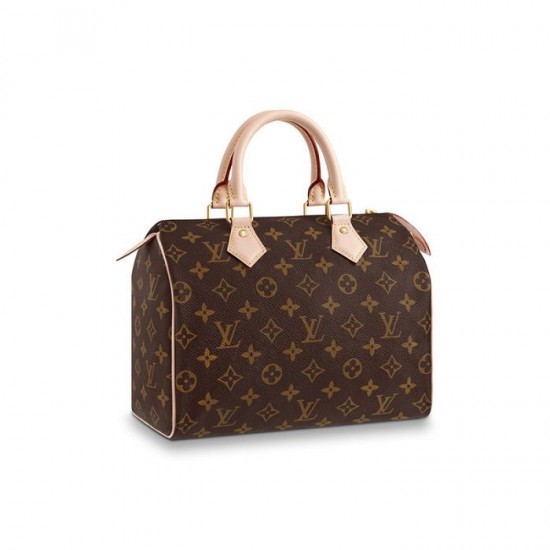 Lvlenka Louis Vuitton Speedy 25 M41109