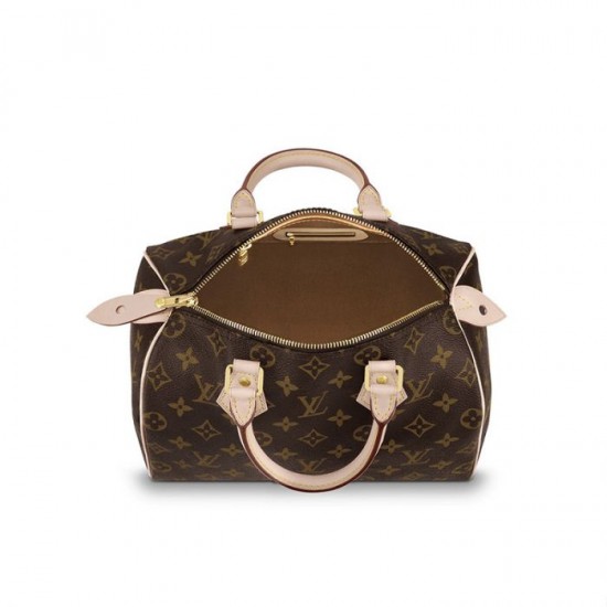 Lvlenka Louis Vuitton Speedy 25 M41109