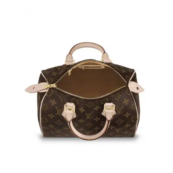 Cheap Louis Vuitton Speedy 25 M41109